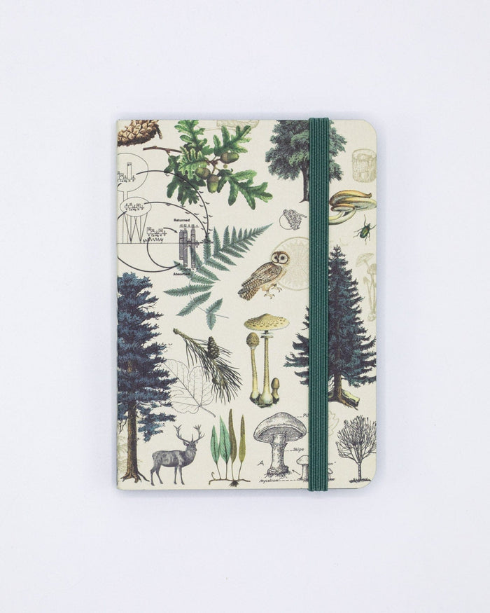 Into the Forest Observation Softcover Cognitive Surplus