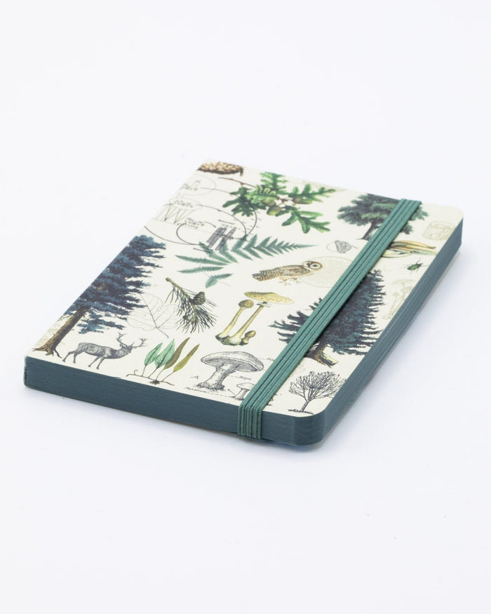 Into the Forest Observation Softcover Cognitive Surplus