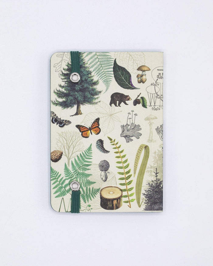 Into the Forest Observation Softcover Cognitive Surplus