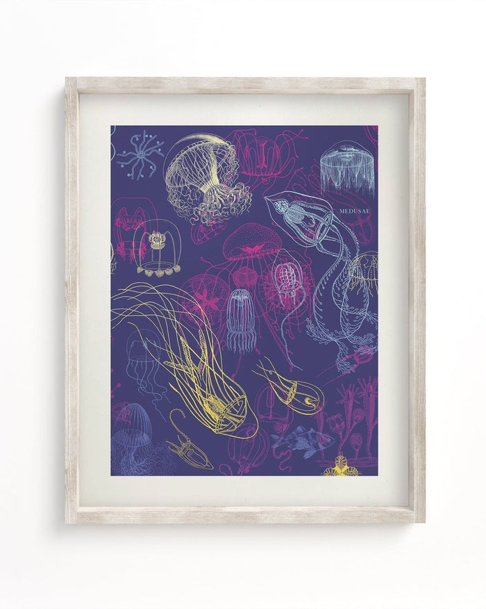 Jellyfish Museum Print Cognitive Surplus