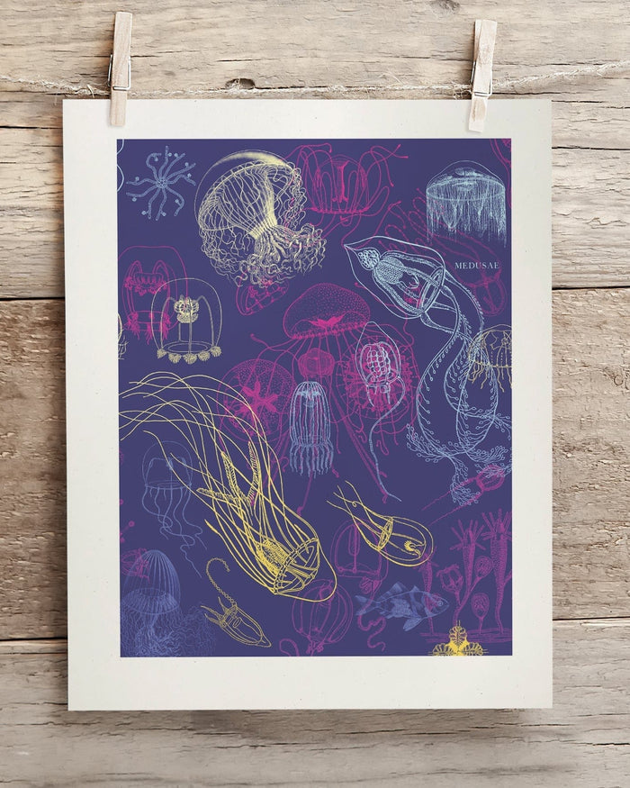 Jellyfish Museum Print Cognitive Surplus