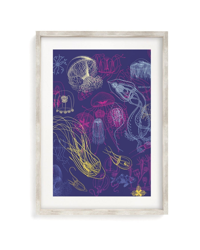 Jellyfish Museum Print Cognitive Surplus