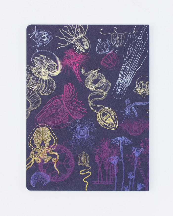 Jellyfish Softcover - Lined Cognitive Surplus