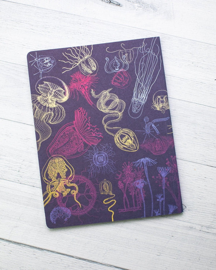 Jellyfish Softcover - Lined Cognitive Surplus