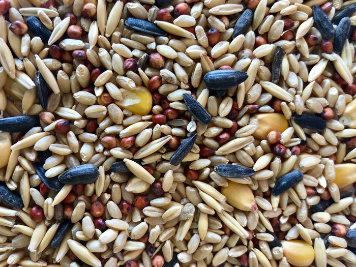 Large Parrot Mix - Wanneroo Stockfeeders