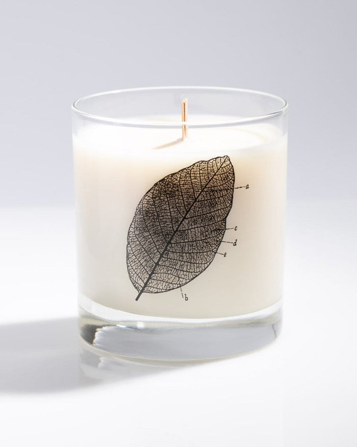 Leaf Diagram Cocktail Candle Cognitive Surplus