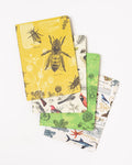 Life Science Pocket Notebook 4-pack