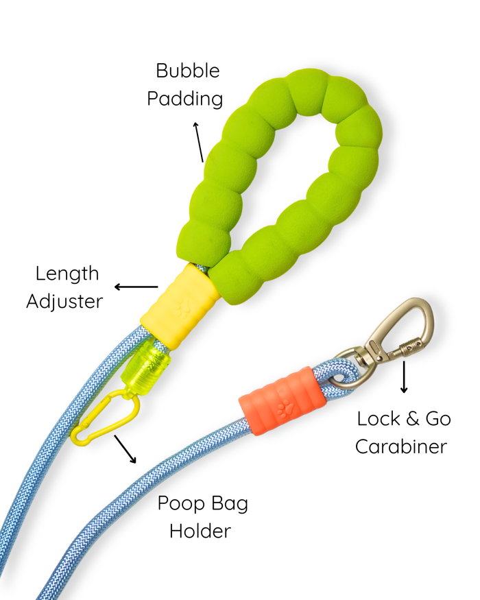 Lime Pop Rope Leash