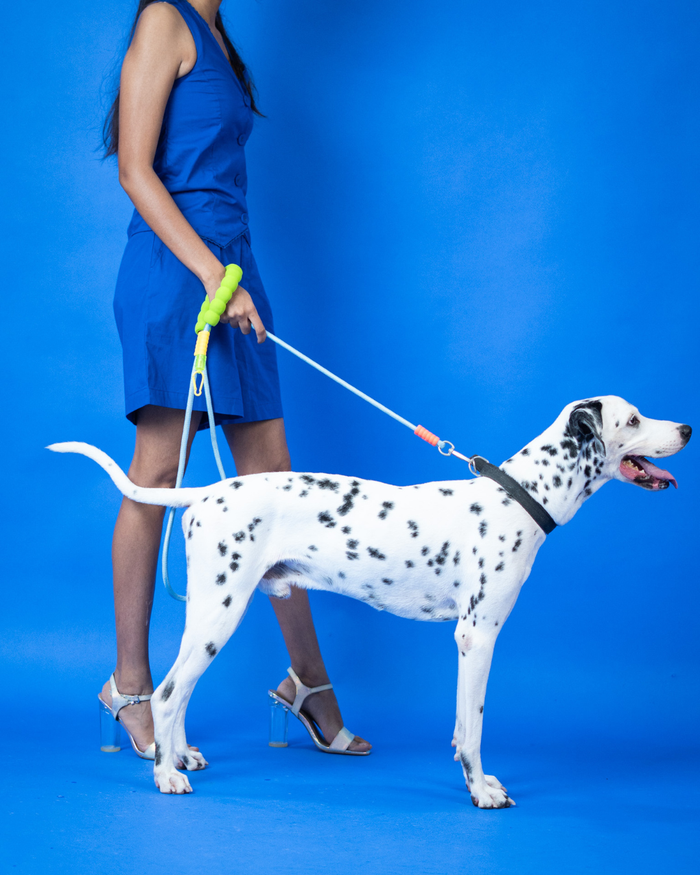 Lime Pop Rope Leash