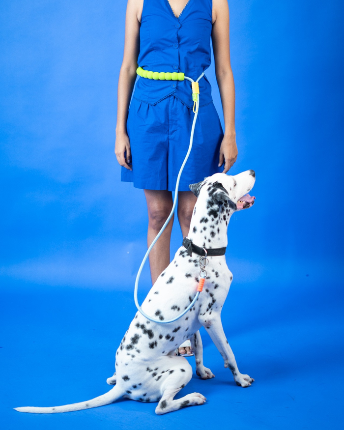 Lime Pop Rope Leash