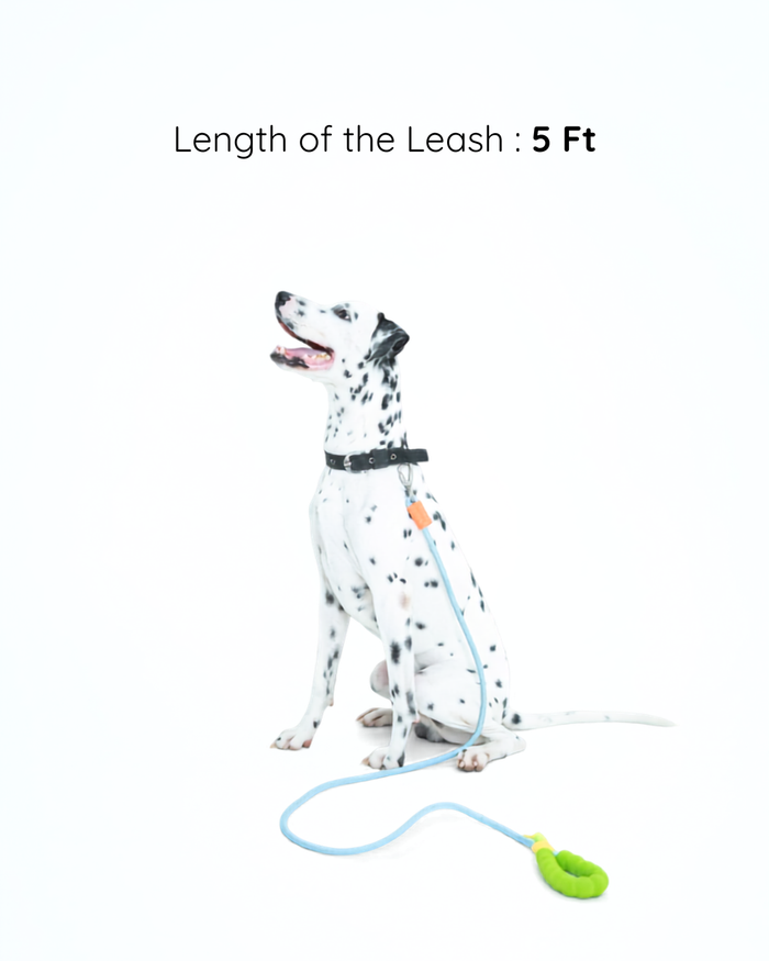 Lime Pop Rope Leash