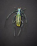 Longhorn Beetle Brooch Pin - Trovelore