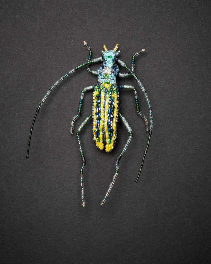 Longhorn Beetle Brooch Pin - Trovelore