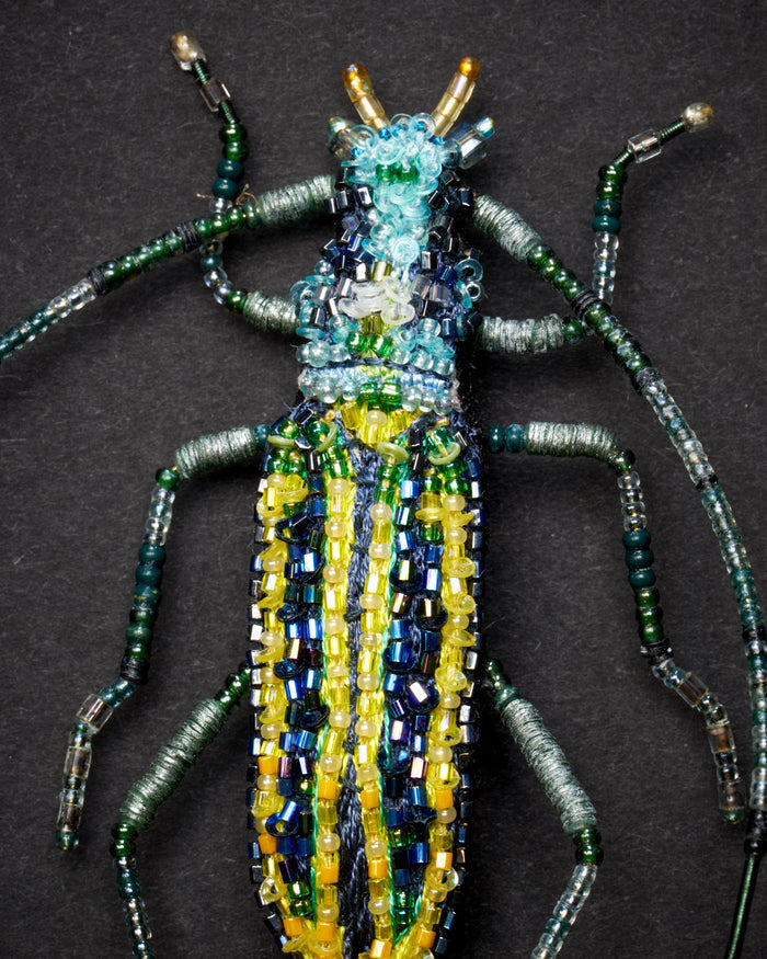 Longhorn Beetle Brooch Pin - Trovelore