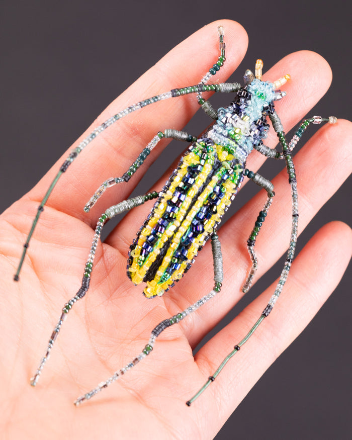 Longhorn Beetle Brooch Pin - Trovelore