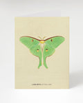 Luna Moth Greeting Card