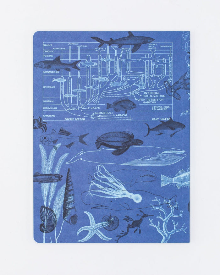 Marine Animals Softcover - Lined Cognitive Surplus