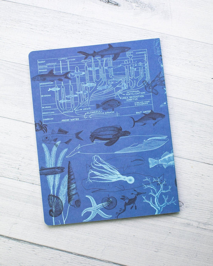 Marine Animals Softcover - Lined Cognitive Surplus