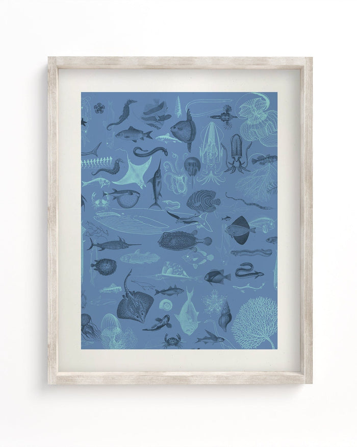 Marine Biology Museum Print Cognitive Surplus
