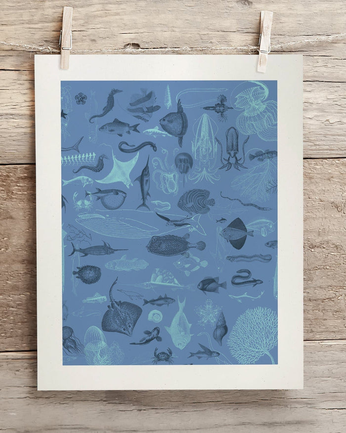 Marine Biology Museum Print Cognitive Surplus