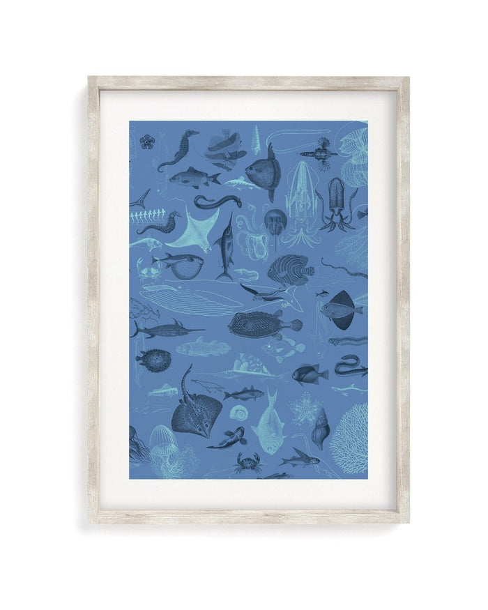Marine Biology Museum Print Cognitive Surplus