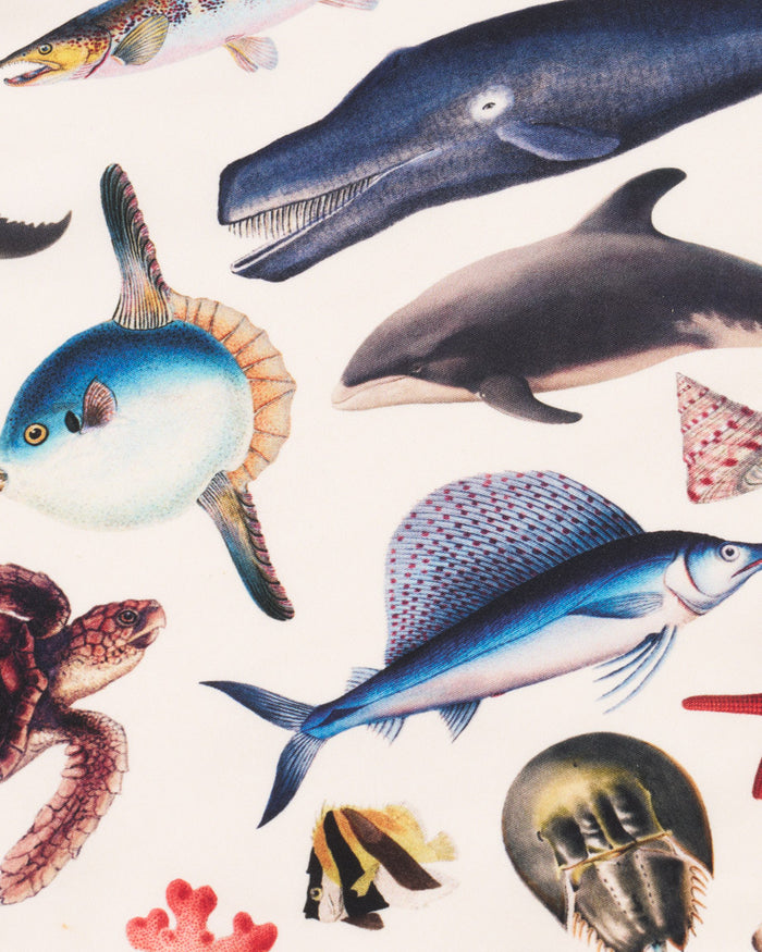 Marine Zoology Eco Pet Bandana