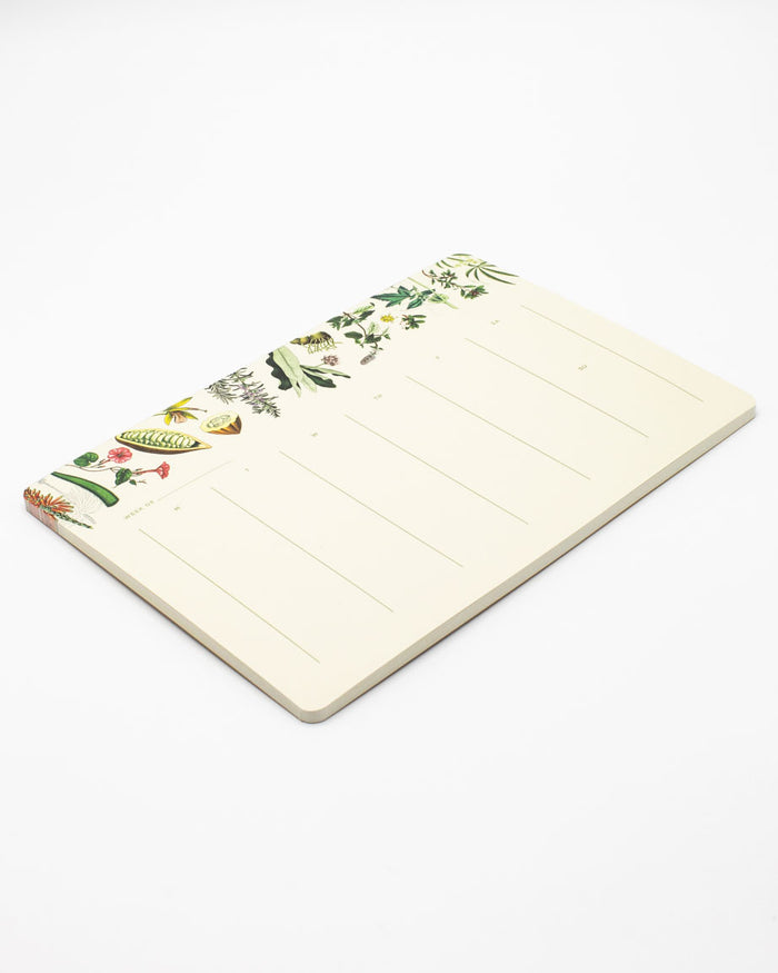 Medicinal Botany Notepads
