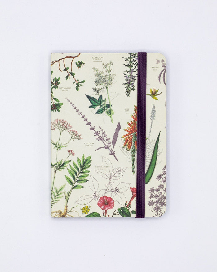 Medicinal Botany Observation Softcover Cognitive Surplus