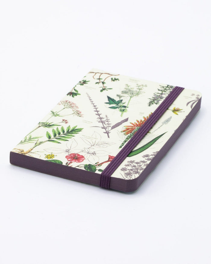 Medicinal Botany Observation Softcover Cognitive Surplus