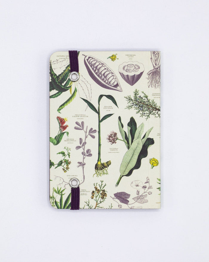 Medicinal Botany Observation Softcover Cognitive Surplus