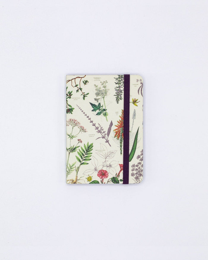Medicinal Botany Observation Softcover Cognitive Surplus