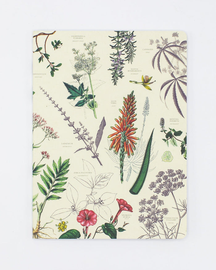 Medicinal Botany Softcover - Dot Grid Cognitive Surplus