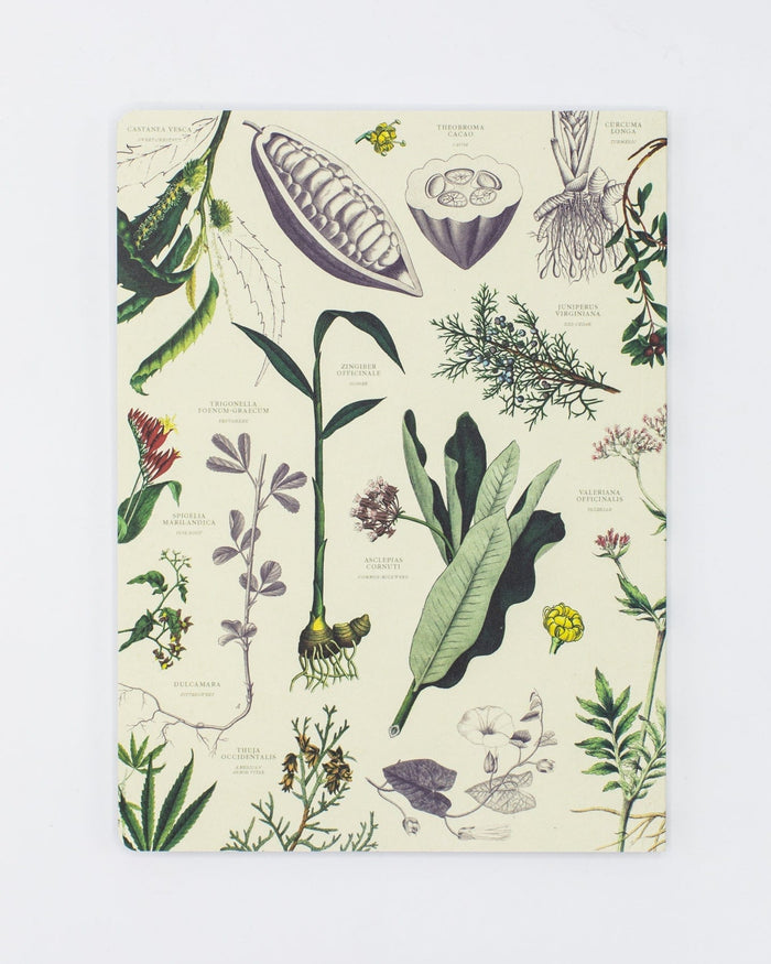Medicinal Botany Softcover - Dot Grid Cognitive Surplus