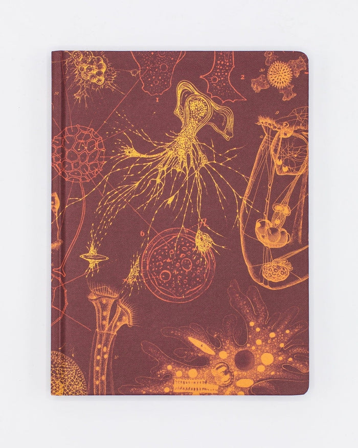Microbiology Hardcover - Dot Grid Cognitive Surplus