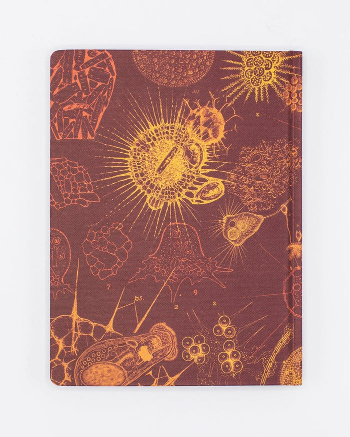 Microbiology Hardcover - Dot Grid Cognitive Surplus