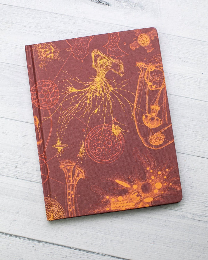 Microbiology Hardcover - Dot Grid Cognitive Surplus