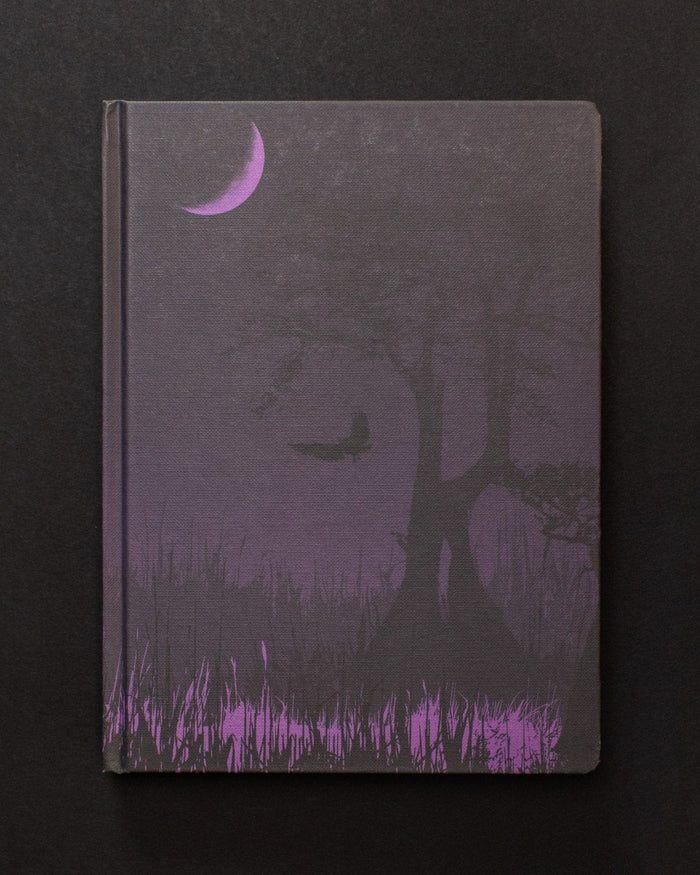 Midnight Swampland Dark Matter Notebook Cognitive Surplus