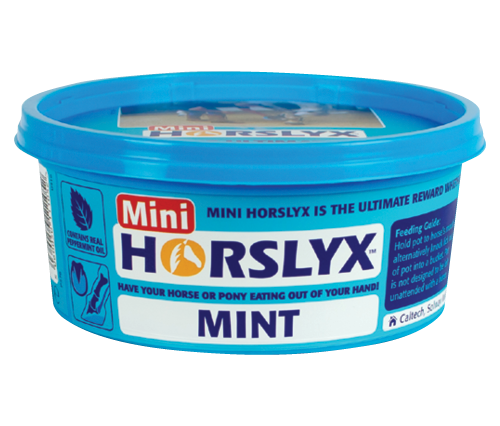Mini Horse Lick - Wanneroo Stock Feeders