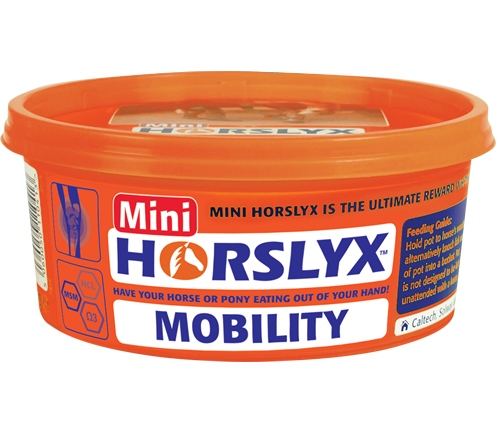 Mini Horse Lick - Wanneroo Stock Feeders