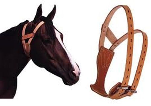 Miracle Collar - Wanneroo Stockfeeders