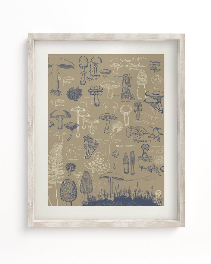 Mushrooms Museum Print Cognitive Surplus