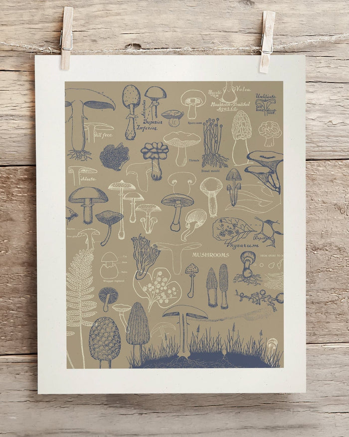 Mushrooms Museum Print Cognitive Surplus