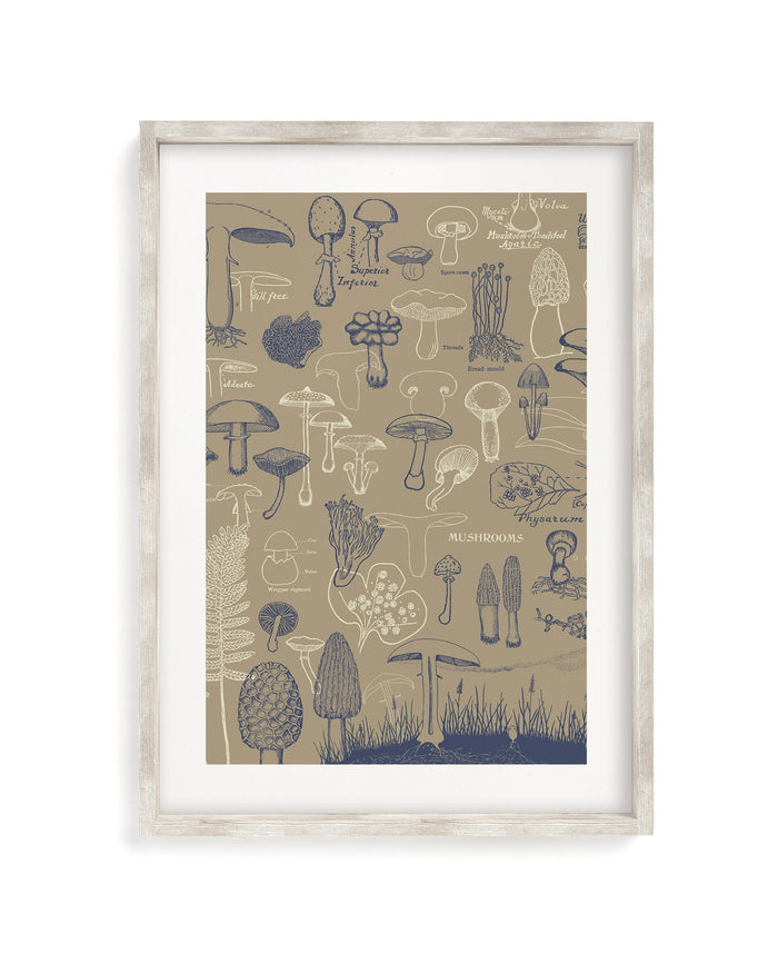 Mushrooms Museum Print Cognitive Surplus