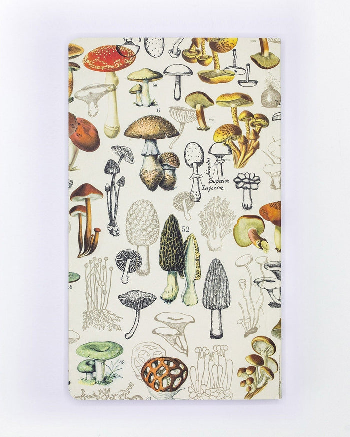 Mushrooms Yearly Planner Cognitive Surplus