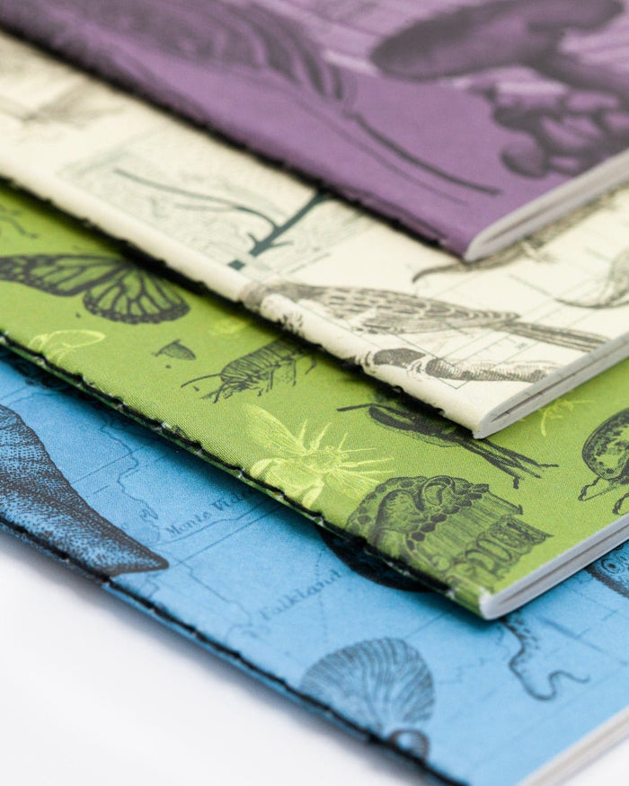 Natural Science Pocket Notebook 4-pack Cognitive Surplus