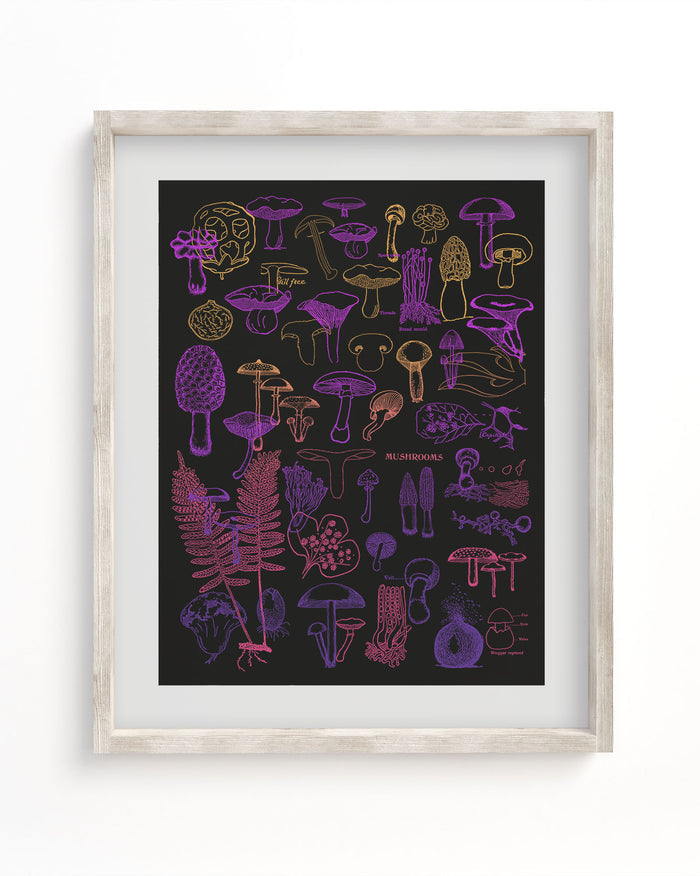 Neon Fungi Scientific Illustration Museum Print