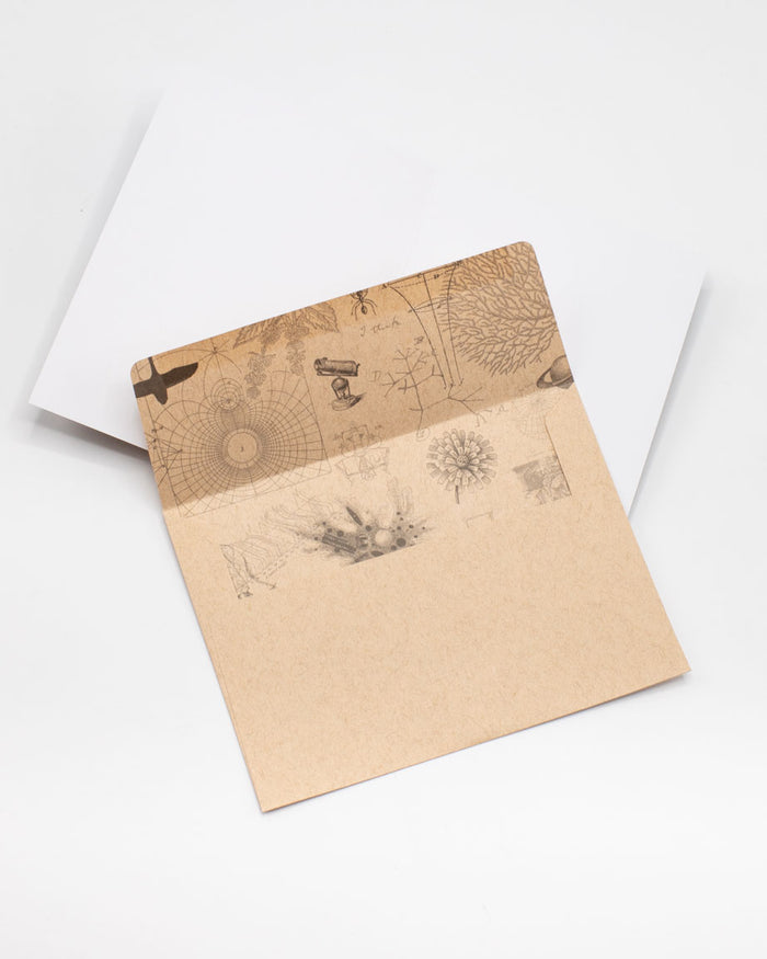A Cognitive Surplus Neon Mushrooms Greeting Card with a drawing on it.
