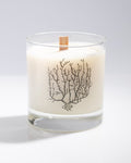 Nerve Cluster Cocktail Candle Cognitive Surplus