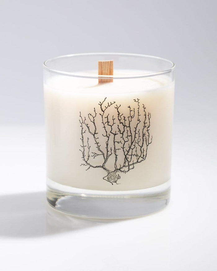 Nerve Cluster Cocktail Candle Cognitive Surplus