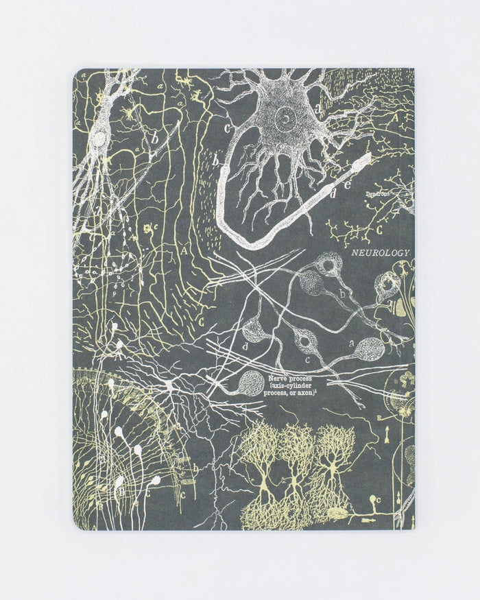 Neurons Softcover - Lined Cognitive Surplus